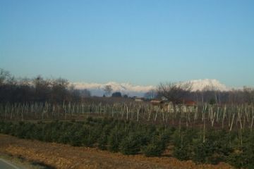 Panorami - Vigne di Mezzomerico