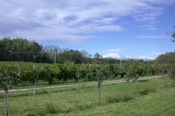 Panorami - I vigneti