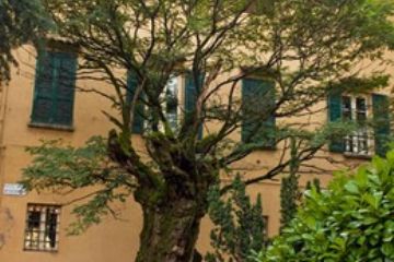 Facciata del palazzo (foto di Alessandro Vecchi - 2013)